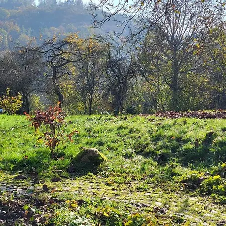 Sonnige In Traumlage Winnenden